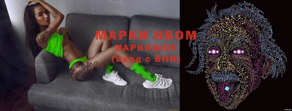 гашик Алексеевка