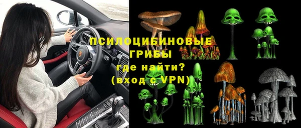 твердый Алзамай