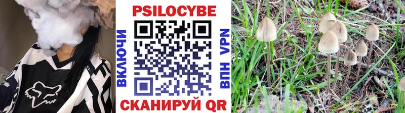МЕГА ТОР  Спас-Клепики  Галлюциногенные грибы Cubensis  даркнет сайт 